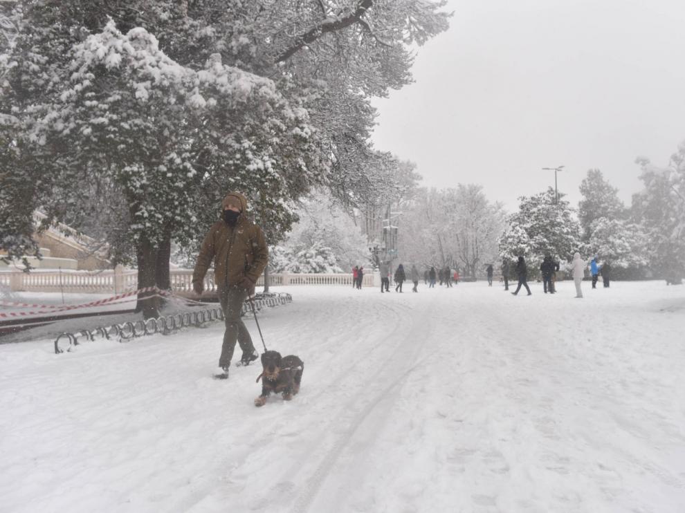 Filomena cubre de nieve el Parque Grande de Zaragoza.