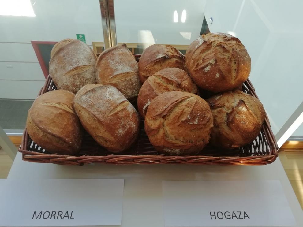 El proyecto ‘Pan de Teruel’ acaba transformado en productos de panadería.
