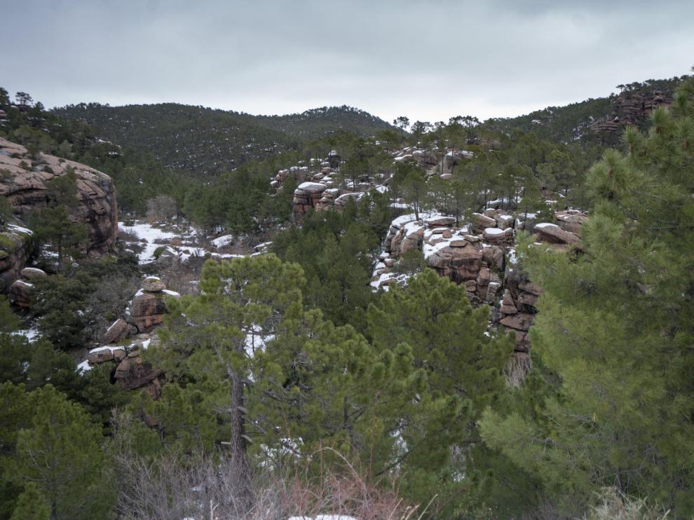 Paisajes nevados en Teruel. Pinares del Rodeno en la Sierra de Albarracin