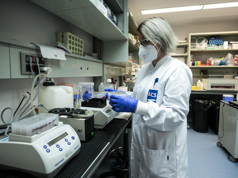 Fotos del laboratorio satélite del CIBA en Zaragoza donde se rastrea la cepa británica del coronavirus