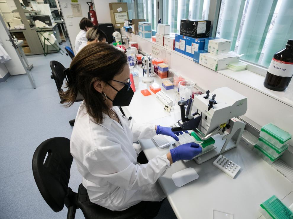 Fotos del laboratorio satélite del CIBA en Zaragoza donde se rastrea la cepa británica del coronavirus
