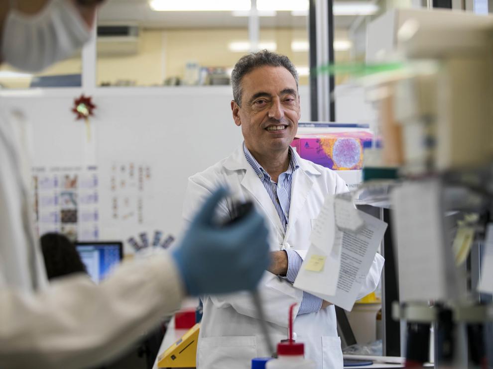 Carlos Martín, en el laboratorio de Genética de Microbioloigía en la Facultad de Medicina en la Universidad de Zaragoza.