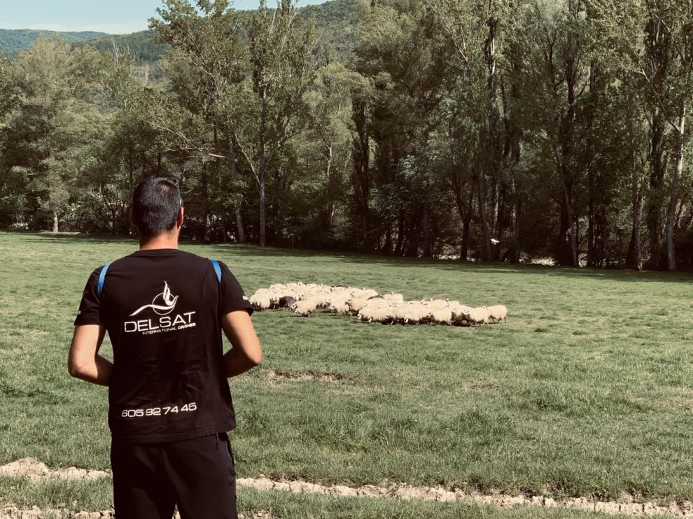 El curso aborda diversos aspectos de la utilización de drones en el sector agrícola.