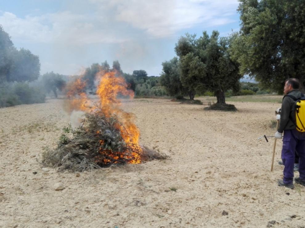 Quema Controlada de restos agrícolas en Aragón