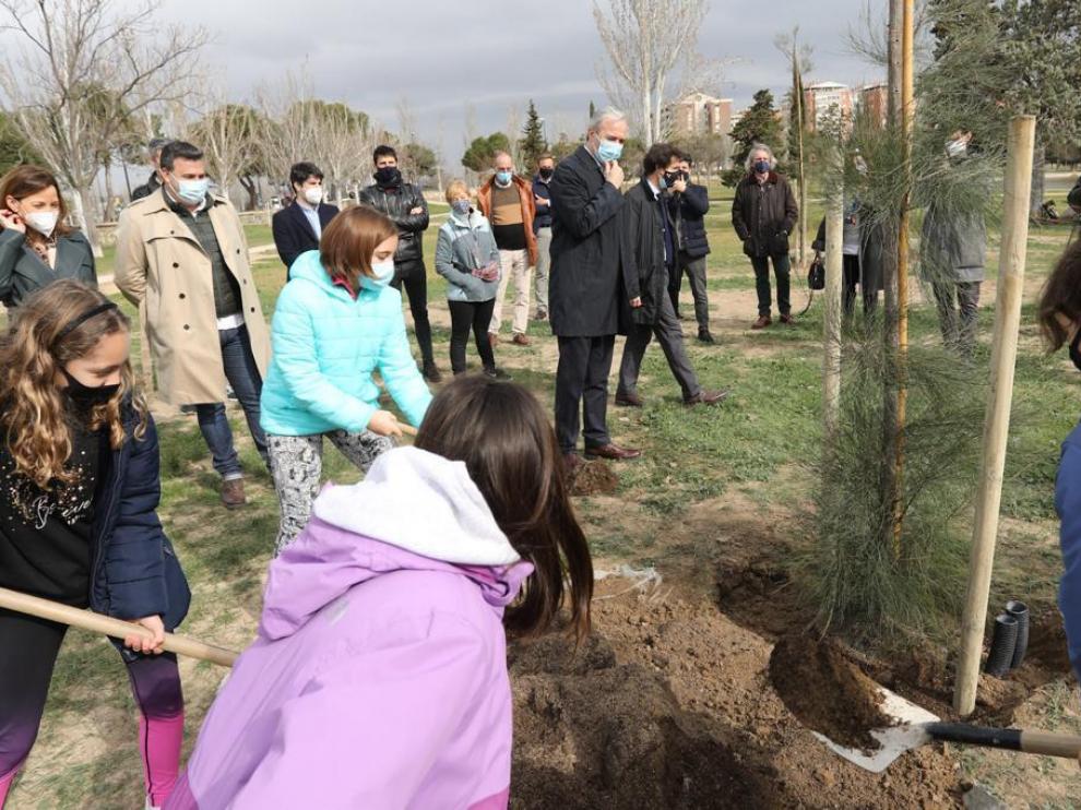 Plantación de árboles en Zaragoza