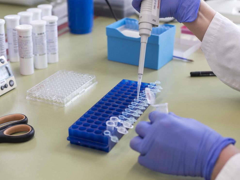 Operon, empresa de Zaragoza que fabrica test rápidos y PCR en Cuarte de Huerva.