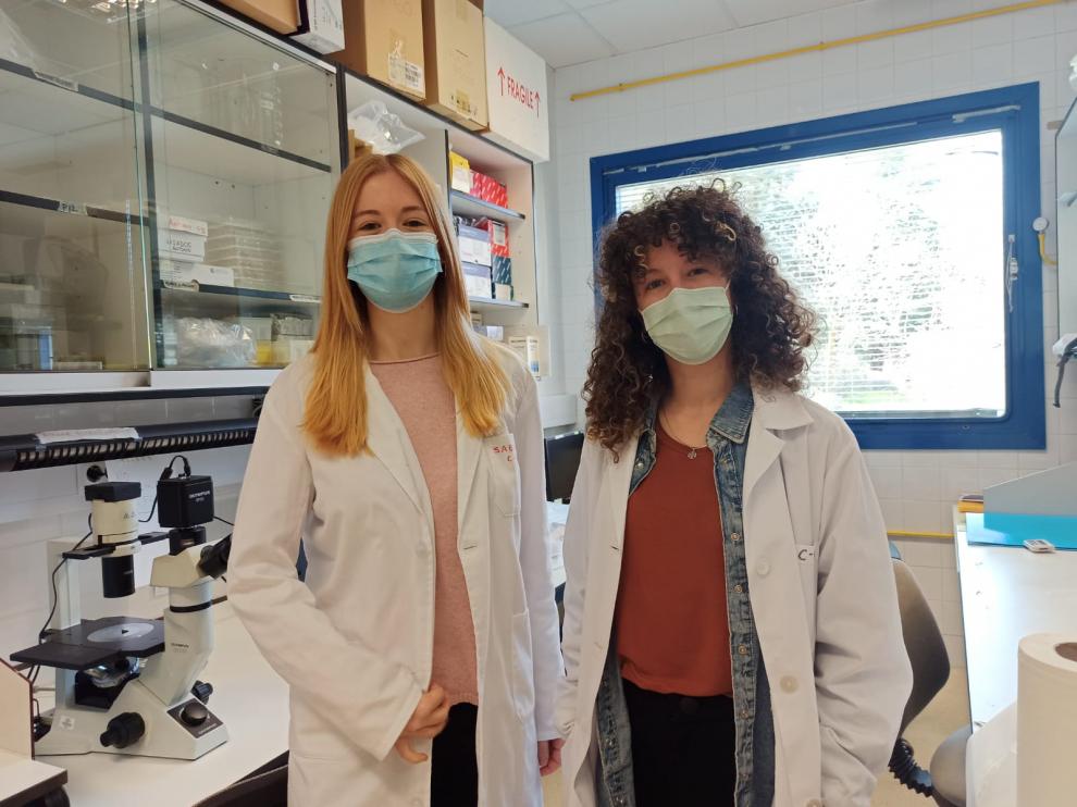Inés Ripa (Épila, 1996) y Sabina Andreu (1997, Huesca) trabajan como investigadoras predoctorales en Madrid, adonde se marcharon tras finalizar sus estudios de Biotecnología en la Universidad de Zaragoza.