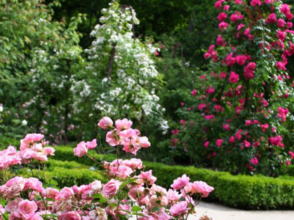 Imagen del Jardín Botánico de Madrid