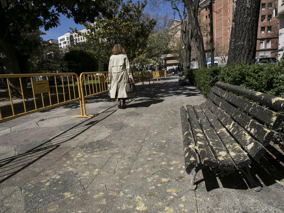 Un banco arrasado por los excrementos de las aves en el paseo de la Constitución.