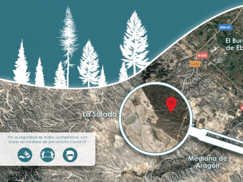 Localización del monte en el que se van a plantar los pinos.