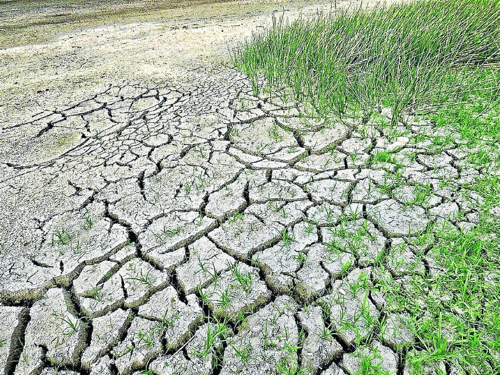 Los periodos de fuerte sequía, muy visibles en los suelos agrícolas, son cada vez más habituales.