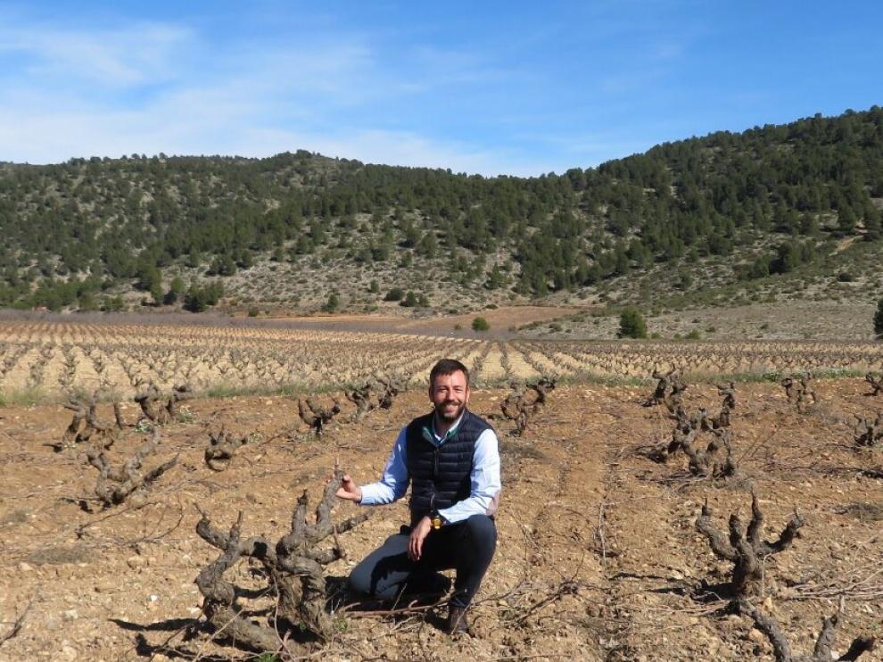 Carlos Vázquez, fundador de Bodegas.bio, en los viñedos de una de las bodegas del proyecto.
