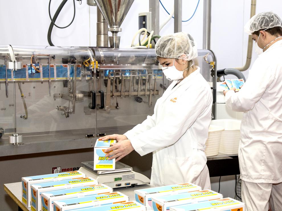 En la imagen, varios trabajadores en la sala donde producen sus bioconservantes para semen porcino.