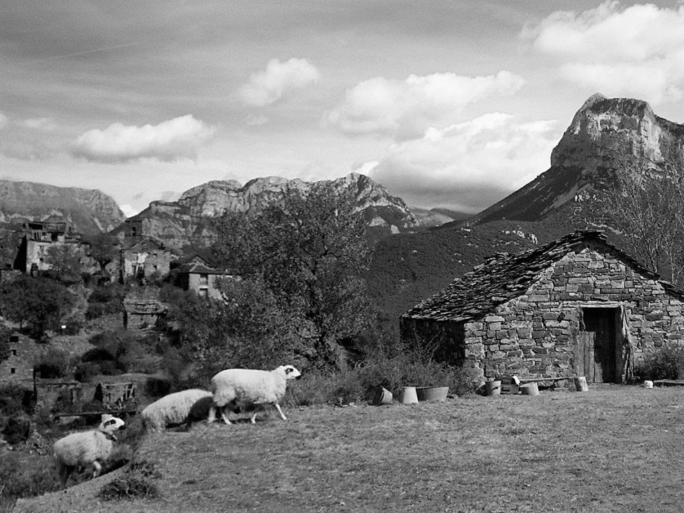 El paisaje del Pirineo aragonés es protagonista destacado en 'Armugán'.