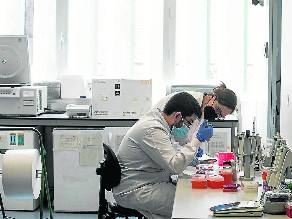 Los trabajadores del laboratorio satélite, en las instalaciones del centro de Investigación.