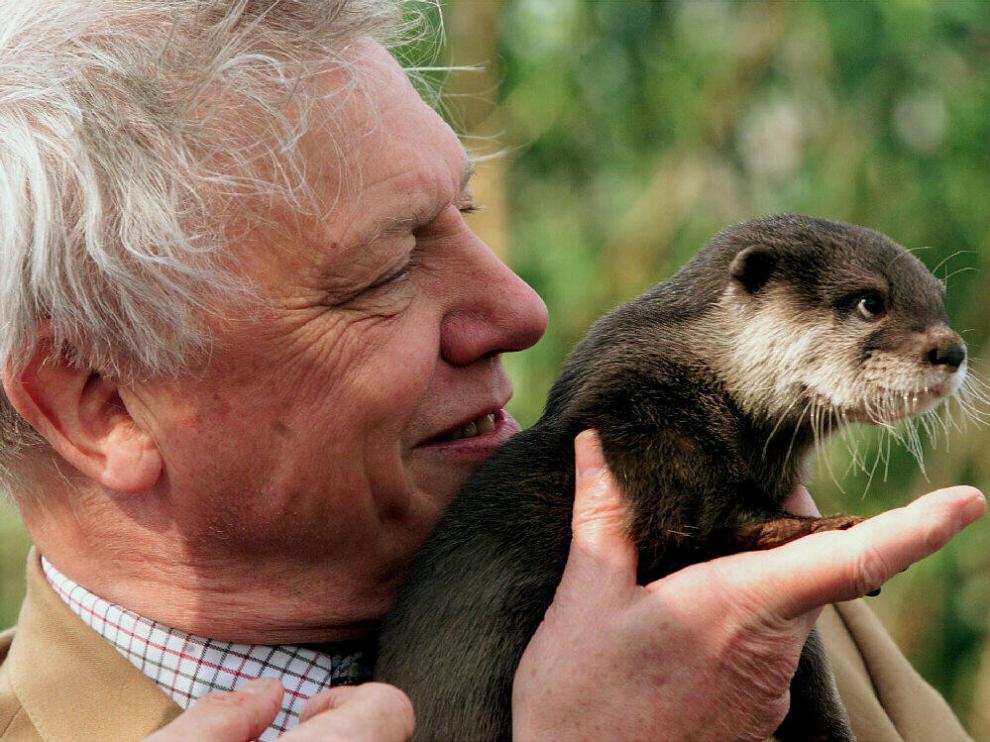 [El naturalista David Attenborough.