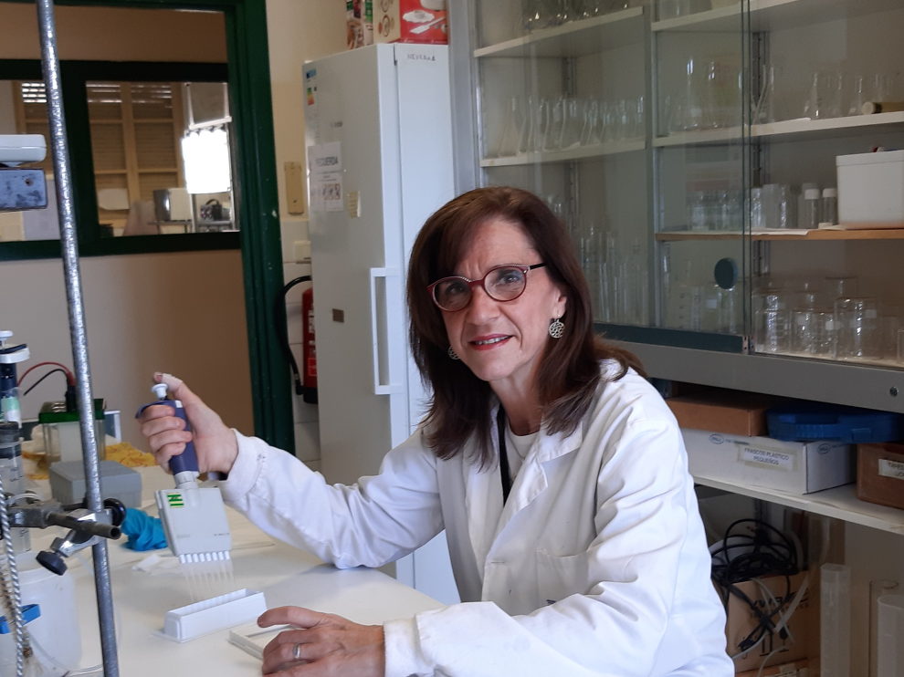 La catedrática de la Universidad de Zaragoza Mª Dolores Pérez Cabrejas es la investigadora principal de este proyecto.