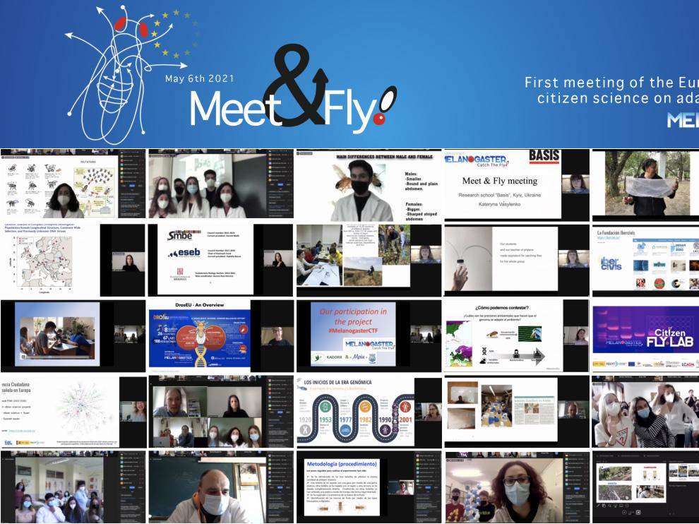 Estudiantes y docentes de doce institutos de España, uno de Alemania y dos de Ucrania se dieron cita virtual en Meet&Fly