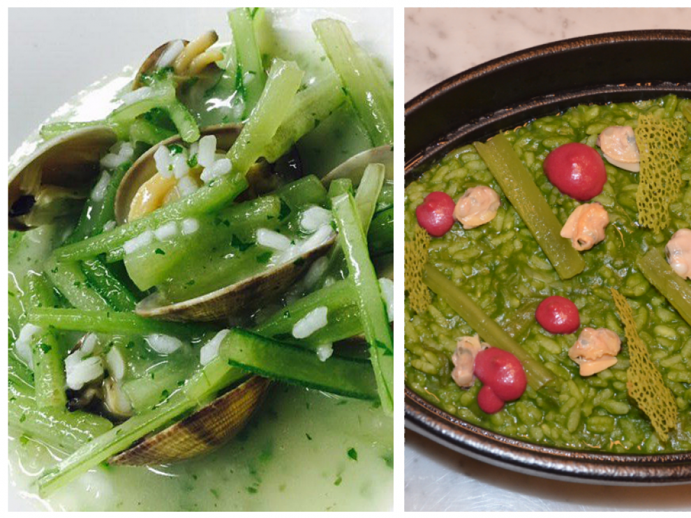 Dos recetas con borrajas.