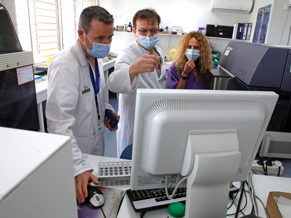 Desarrollan un nuevo test de "extrema" sensibilidad capaz de detectar anticuerpos contra la covid-19 hasta ahora invisibles