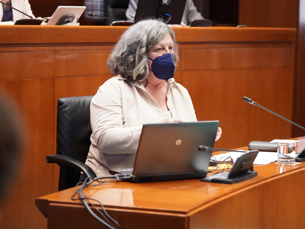 La directora general de Justicia, María Ángeles Júlvez, ha comparecido este lunes ante la comisión Institucional de las Cortes para dar cuenta de los procedimientos de las cláusulas suelo.