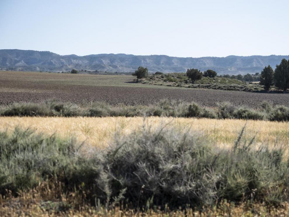 El parque nacional abarcaría 29.000 hectáreas de las comarcas de Monegros, Ribera Baja del Ebro y Comarca Central.