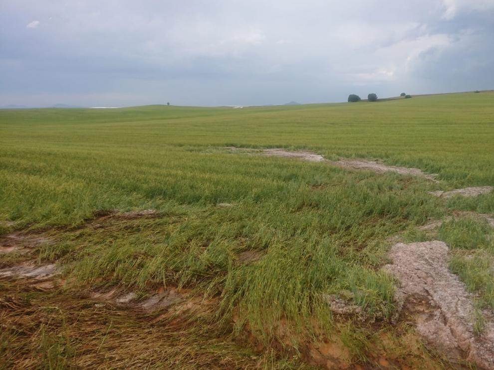 Tormenta en Ferreruela de Huerva