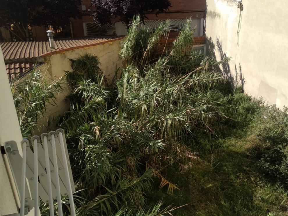 Los vecinos han vuelto a pedir que se limpie el solar de la calle Caracoles