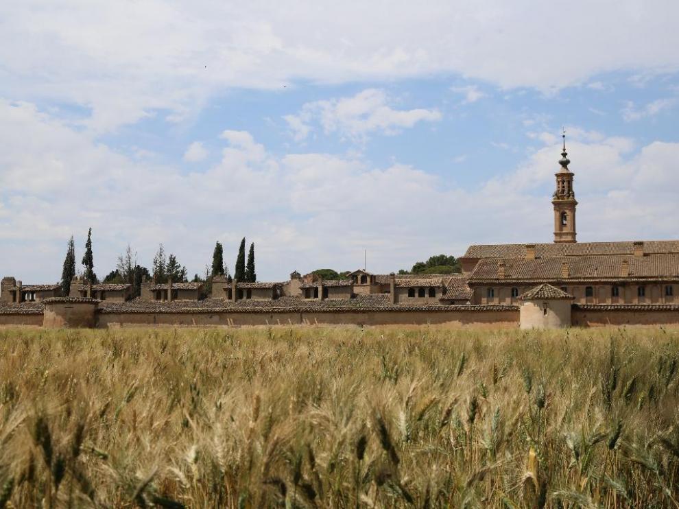 Los trigales de Peñaflor, cerca de la Cartuja de Aula Dei.