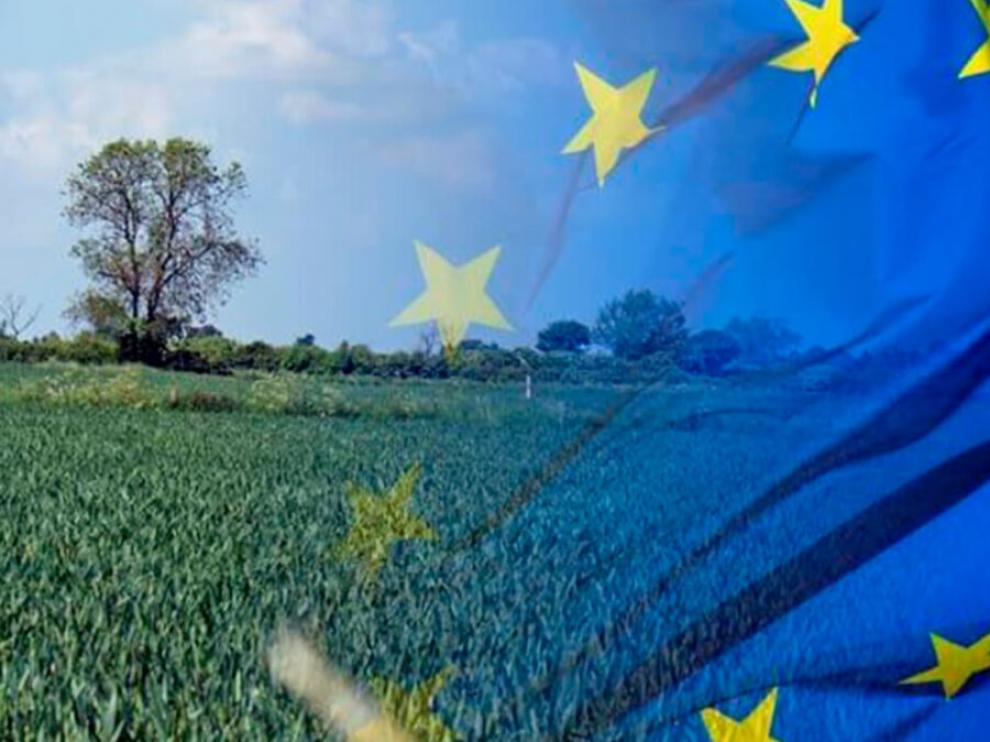 La Unión Europa ya ha acordado las grandes líneas maestras que definen la Política Agraria Común de los próximos años.