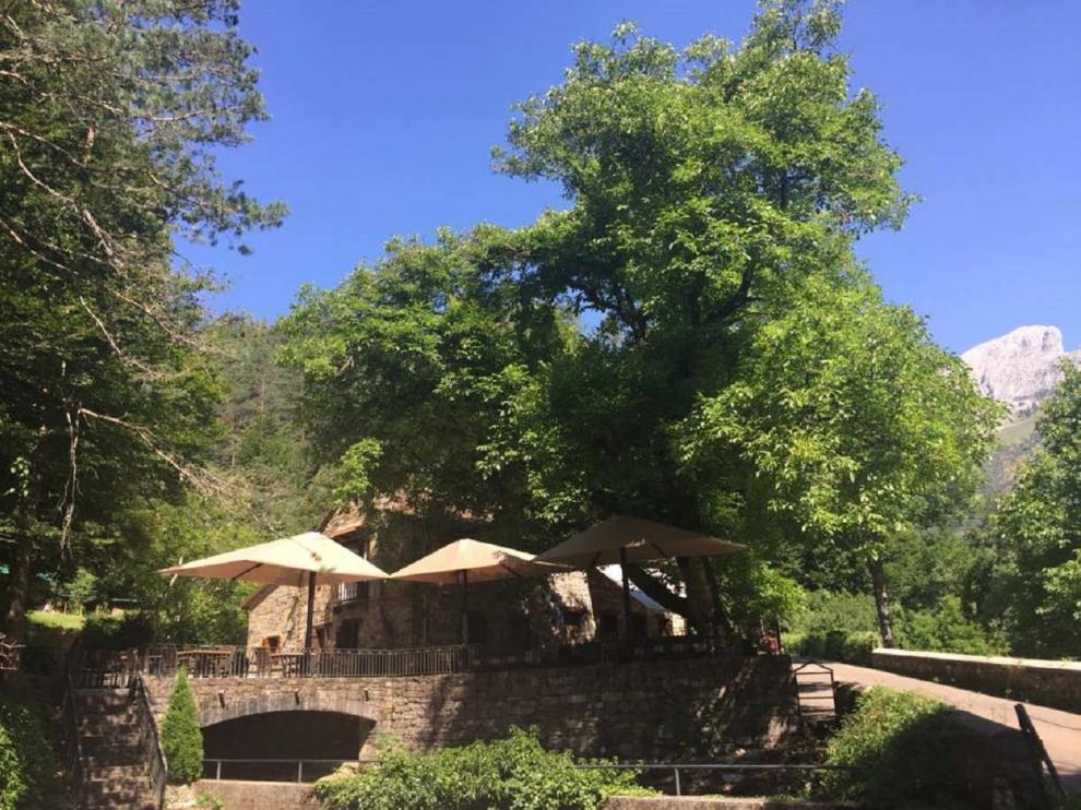 La Borda Chiquín en Ansó con espectaculares vistas y famosa por sus migas y carne a la brasa