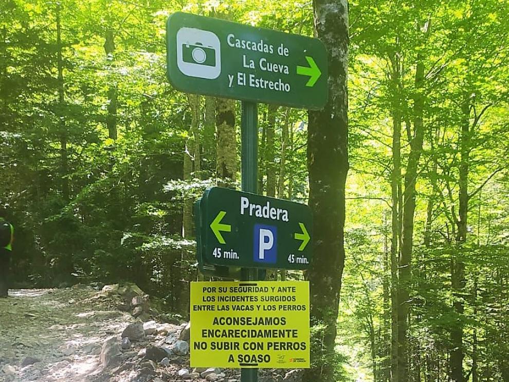 Uno de los carteles colocados este fin de semana en la ruta del Circo de Soaso.
