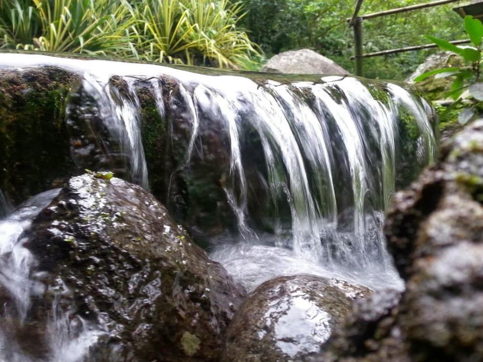 Agua de un arroyo.