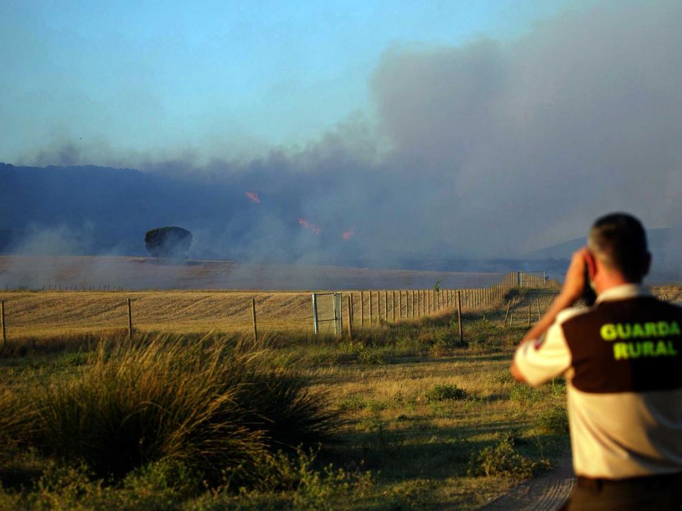 INCENDIO FORESTAL EN VILLARROYA