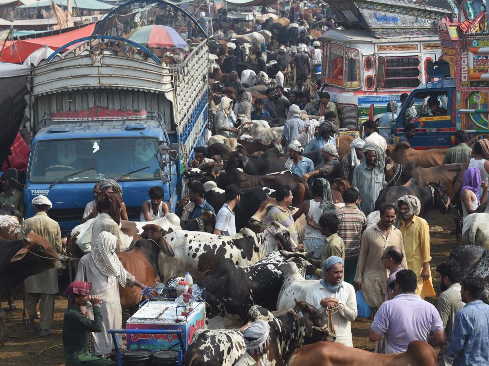 Preparaciones de la Fiesta del Sacrifico o Eid al Adha esta semana en Pakistán.