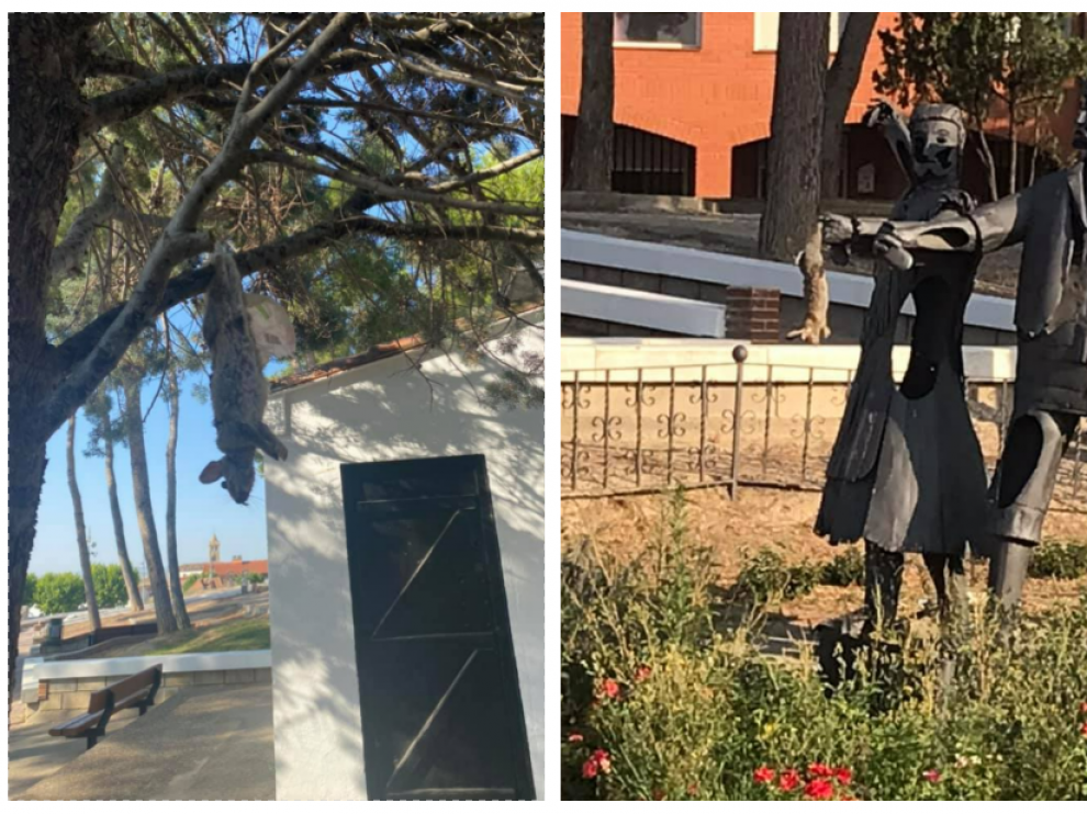 Una imagen de los conejos que han aparecido colgados de un árbol en un parque de La Puebla de Alfindén.
