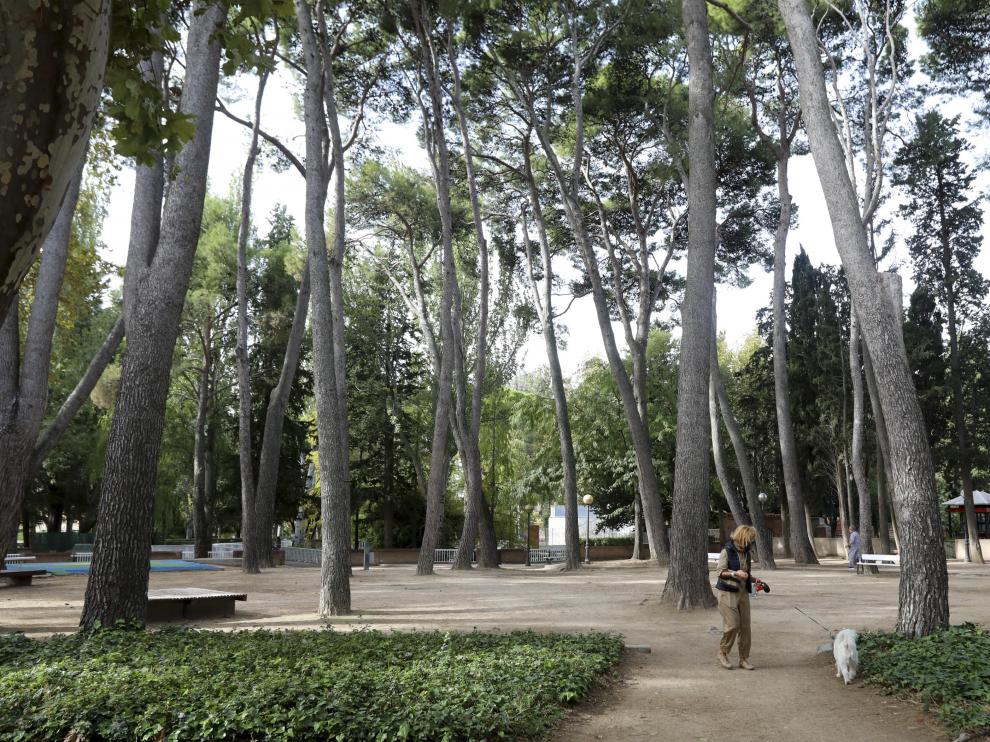 La zona de pinares del Miguel Servet será una de las que restaurará la Escuela Taller del Ayuntamiento de Huesca.