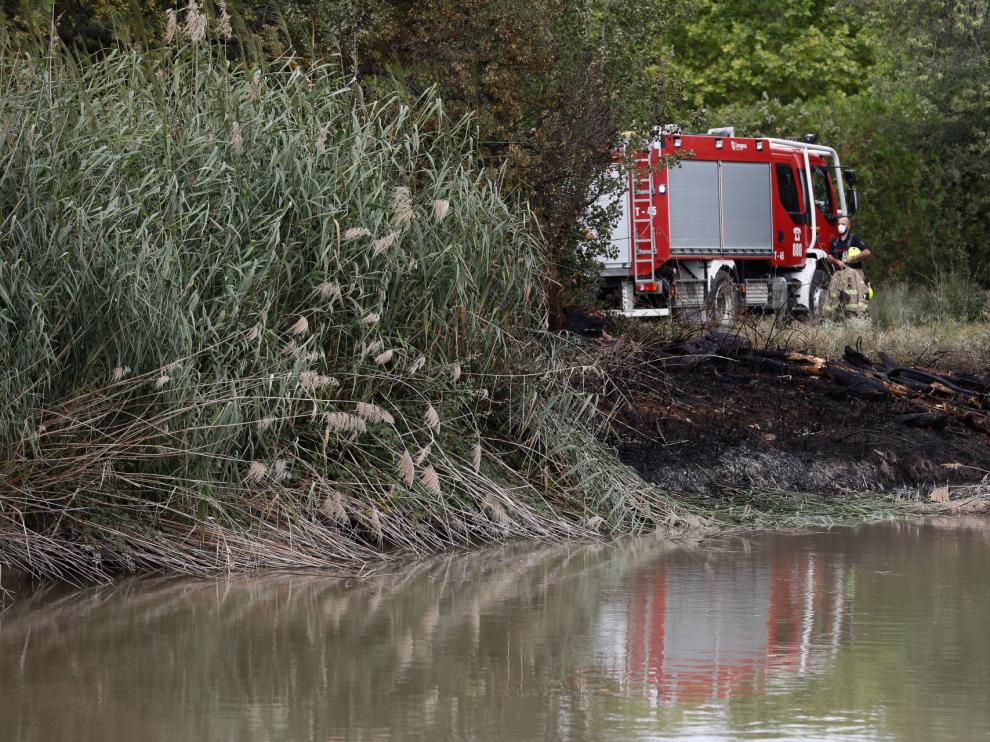 Arde una zona de matorral junto al Canal Imperial, a la altura del campin de Zaragoza.