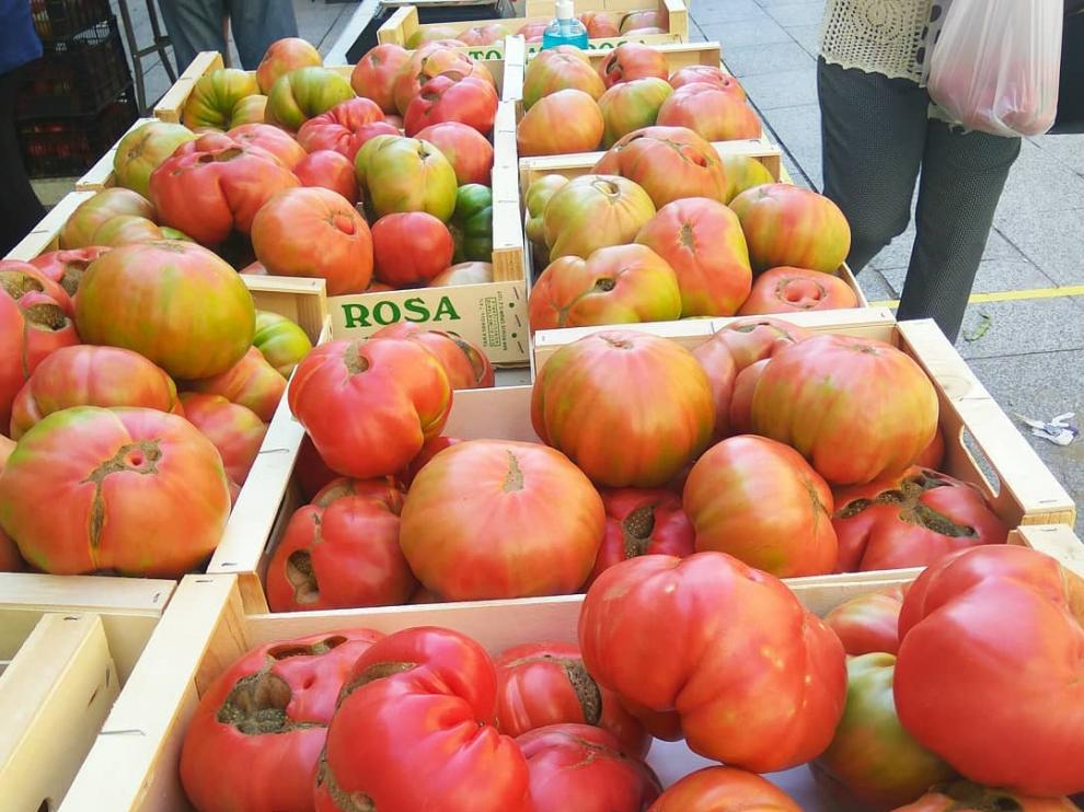Hermosos ejemplares de tomate rosa en la plaza del Mercado de Barbastro.