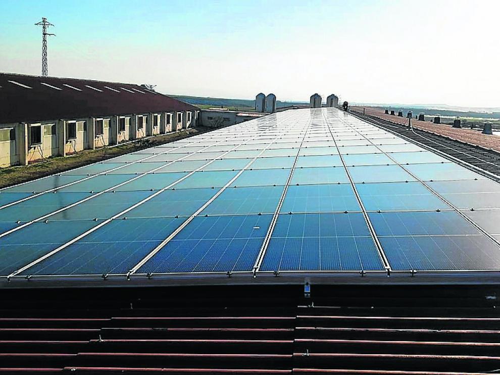 Planta solar de Explotaciones Porcinas Valdemoro (Ejea).