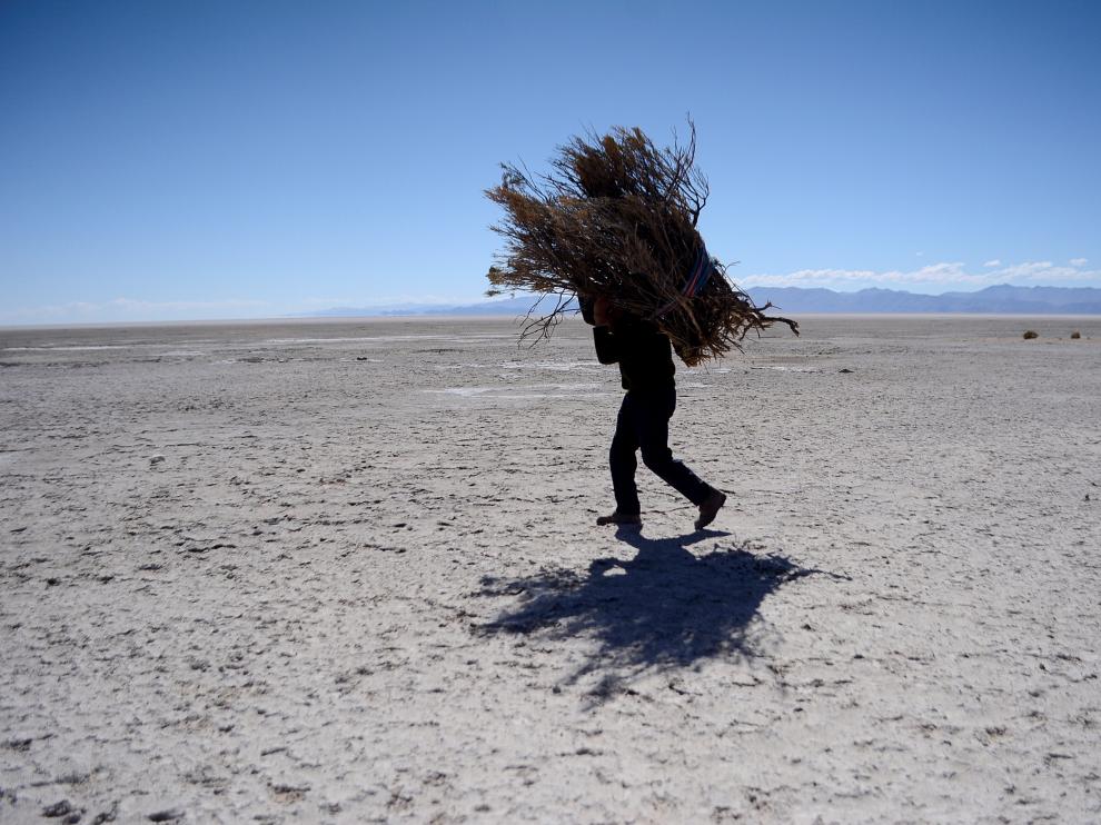 Efectos de la sequía en un lago de Bolivia.