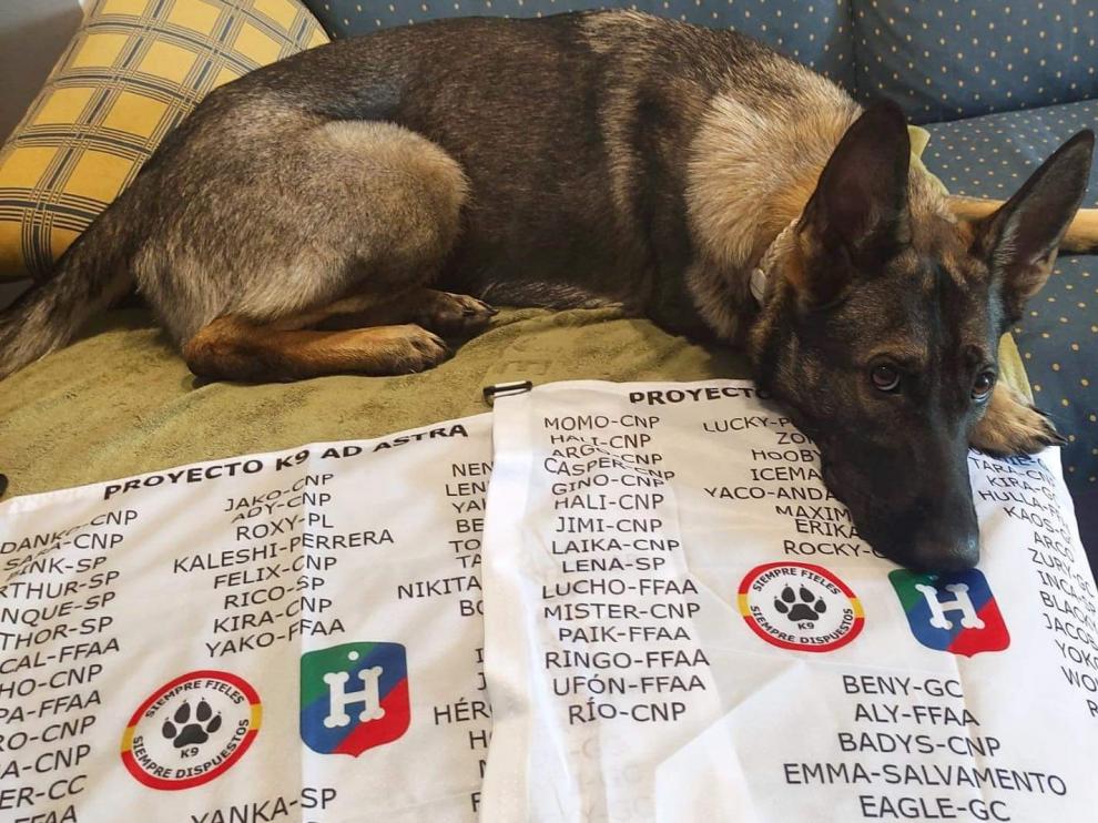 Las banderas que quieren colocarse en el Aneto con los nombres de los perros.