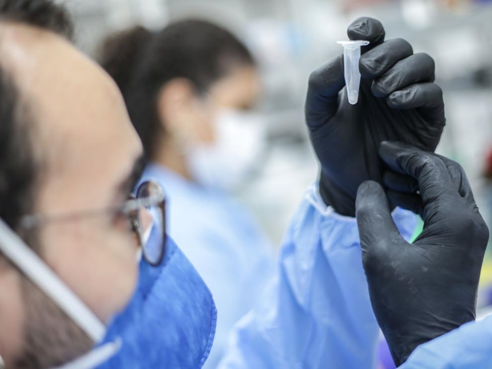 Secuenciación genómica y pruebas de potenciales fármacos para combatir el coronavirus.