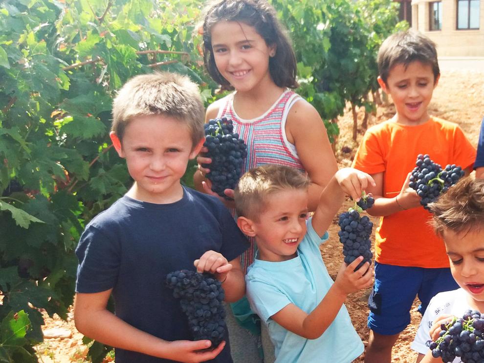 Bodegas Care tiene un Mini Club y los niños pueden ver cómo se vendimia.