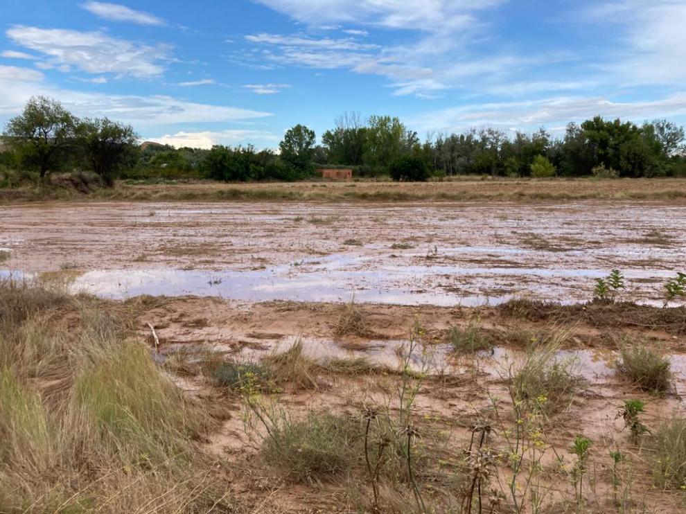 Las tormentas dejan a Mozota sin Bosque Sonoro