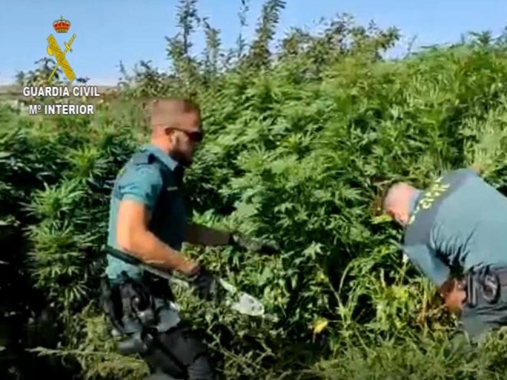 Así se ha desarrollado el trabajo de los agentes.