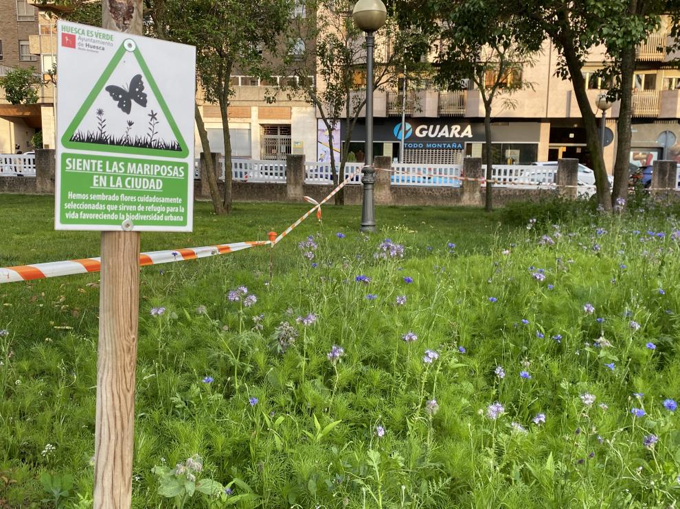 Una de las islas de biodiversidad situada en el parque Miguel Servet.