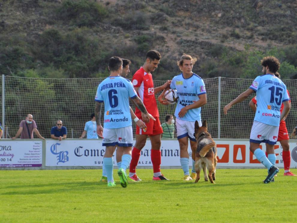 Un perro saltó al campo durante el Brea - Terrasa