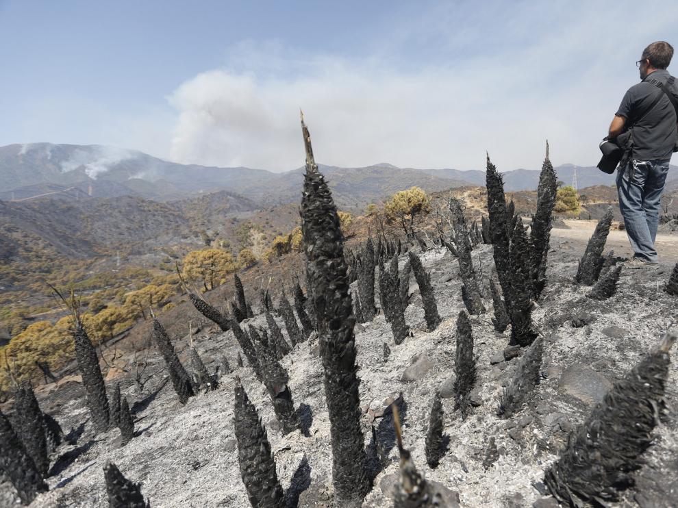 Incendio en Sierra Bermeja