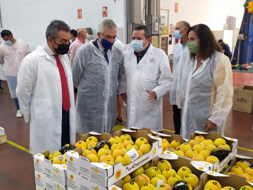 Olona, en su visita a la sede del Consejo Regulador del melocotón de Calanda.